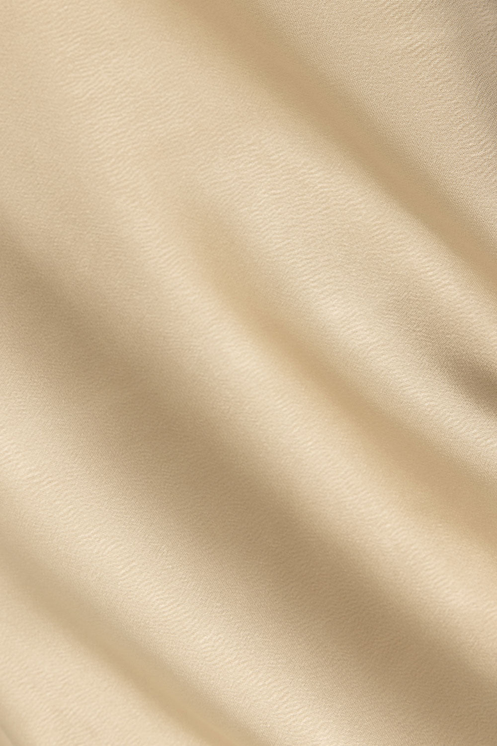 true-to-color:#ffffff