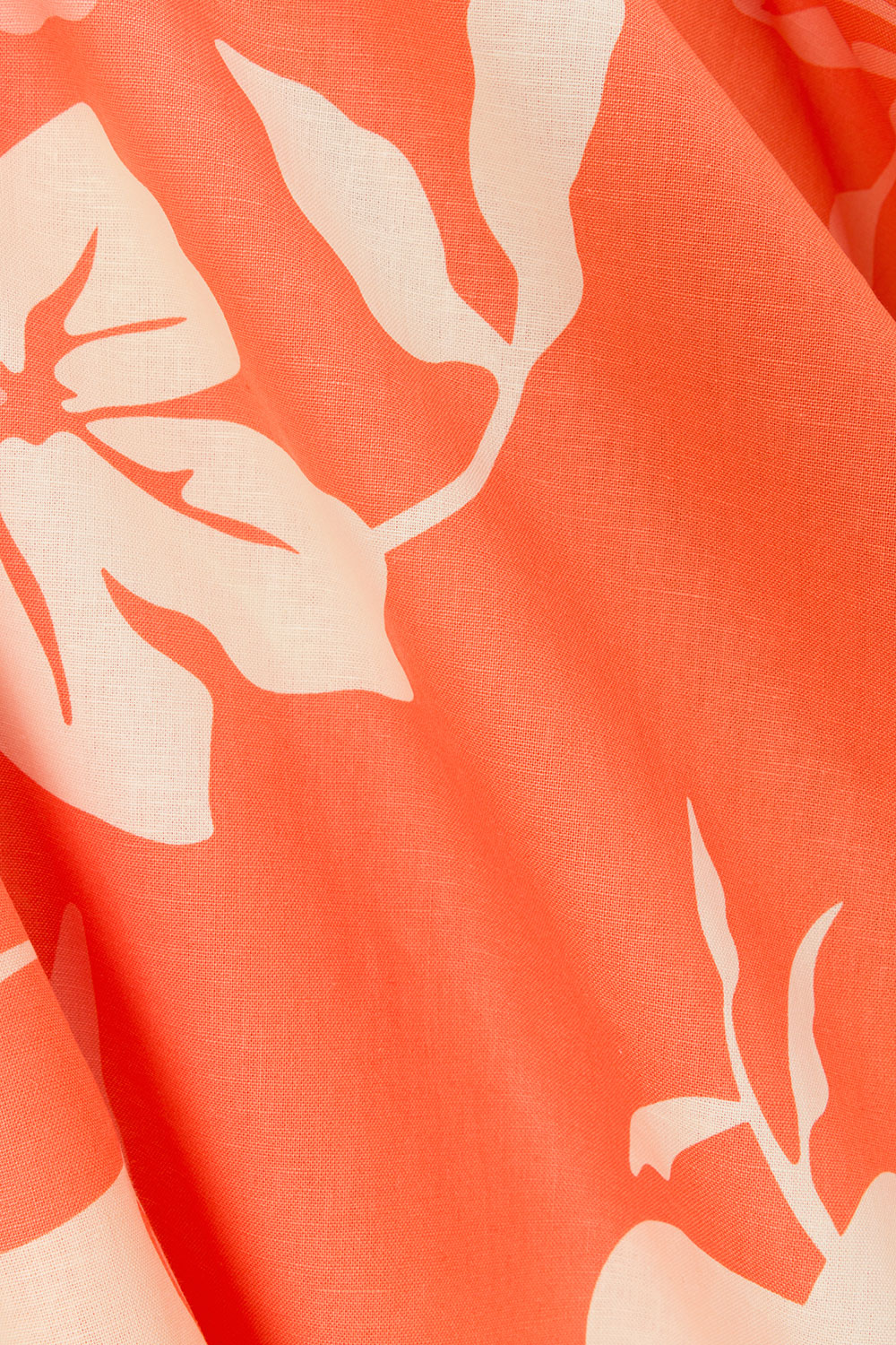 true-to-color:#ffffff