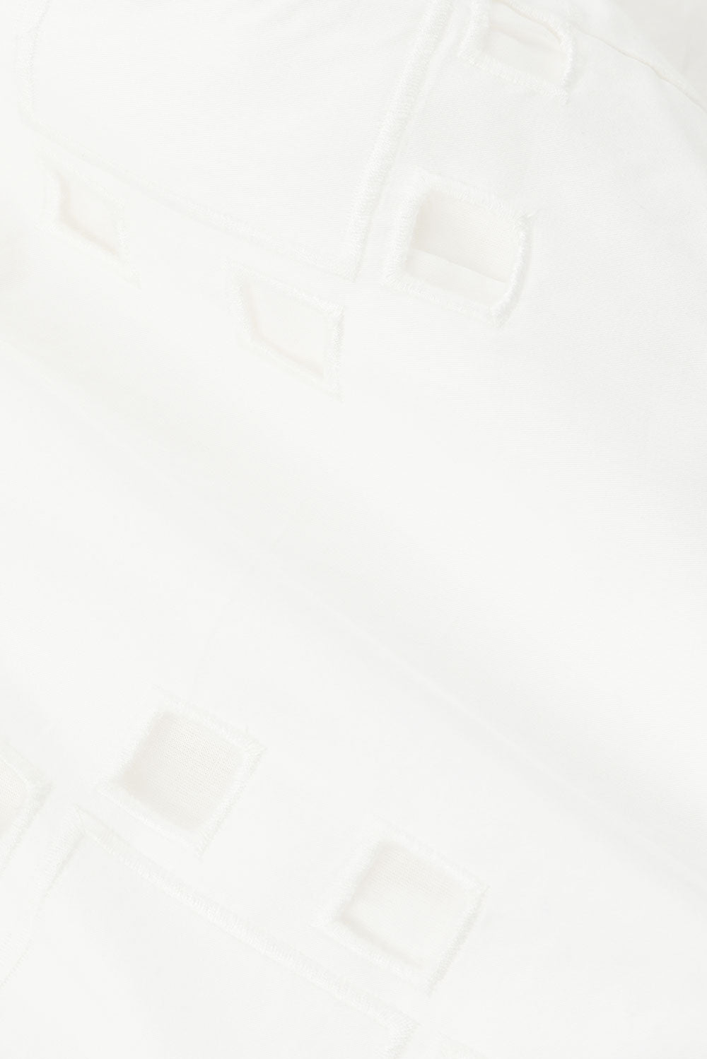 true-to-color:#ffffff