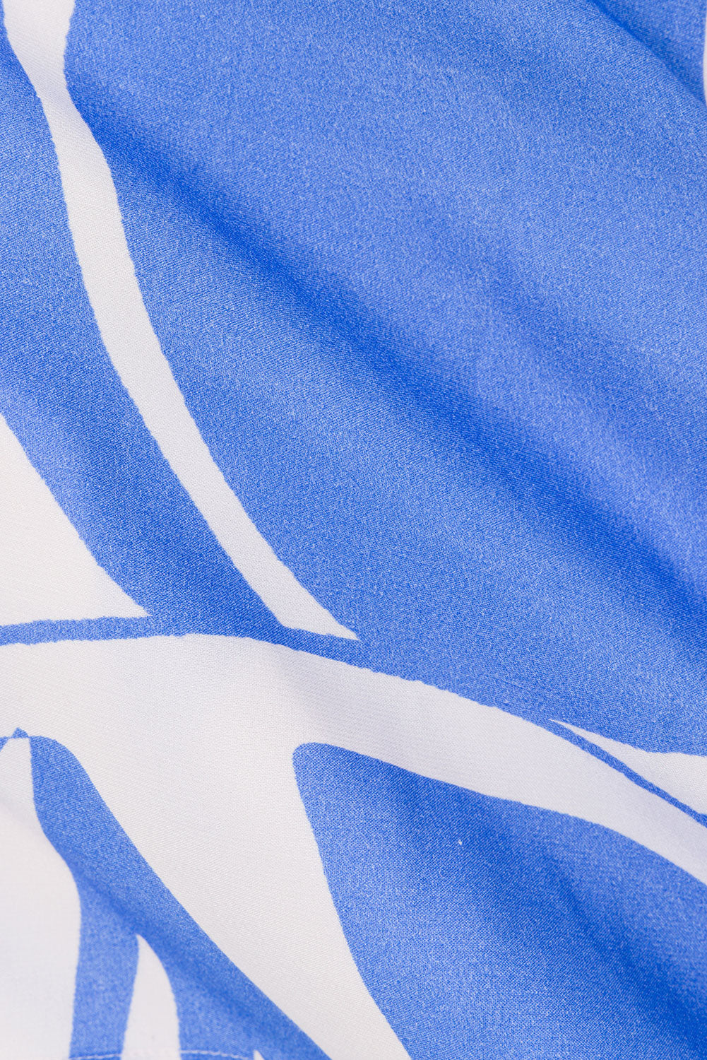 true-to-color:#ffffff