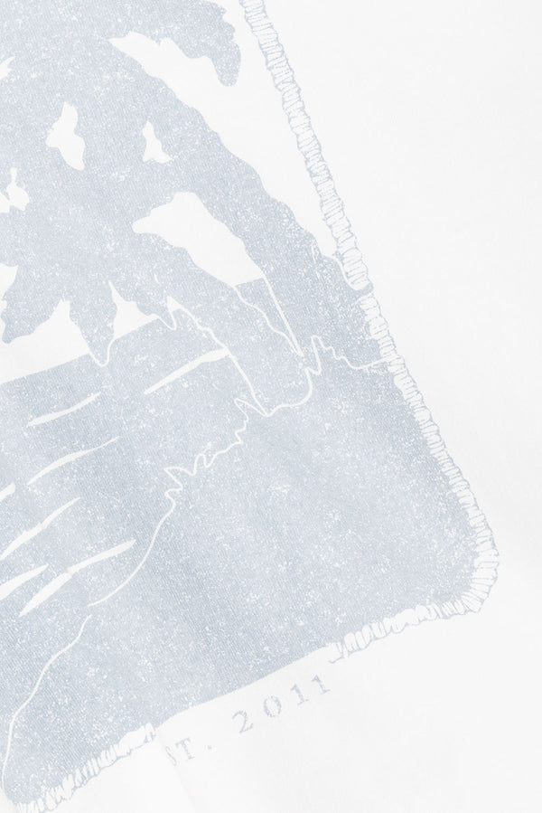 true-to-color:#ffffff