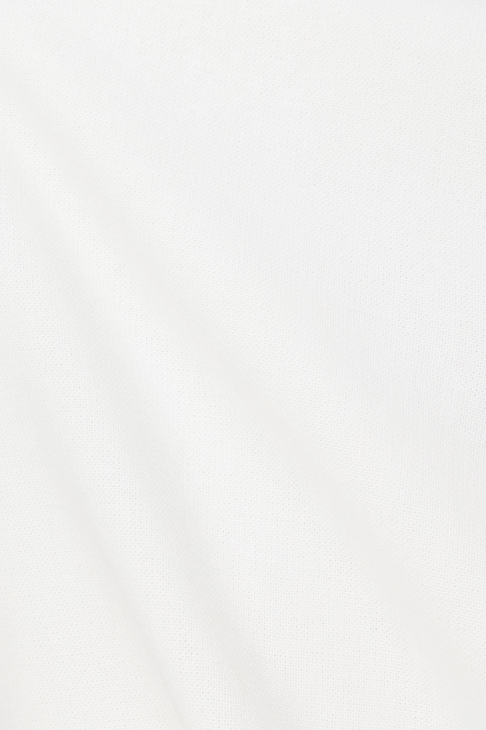 true-to-color:#ffffff