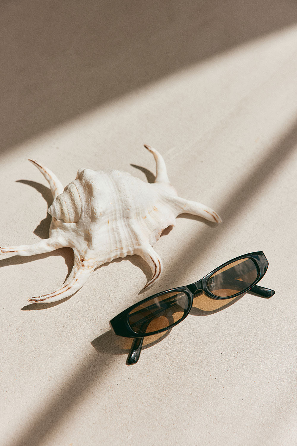 Bennie Sunglasses - Black