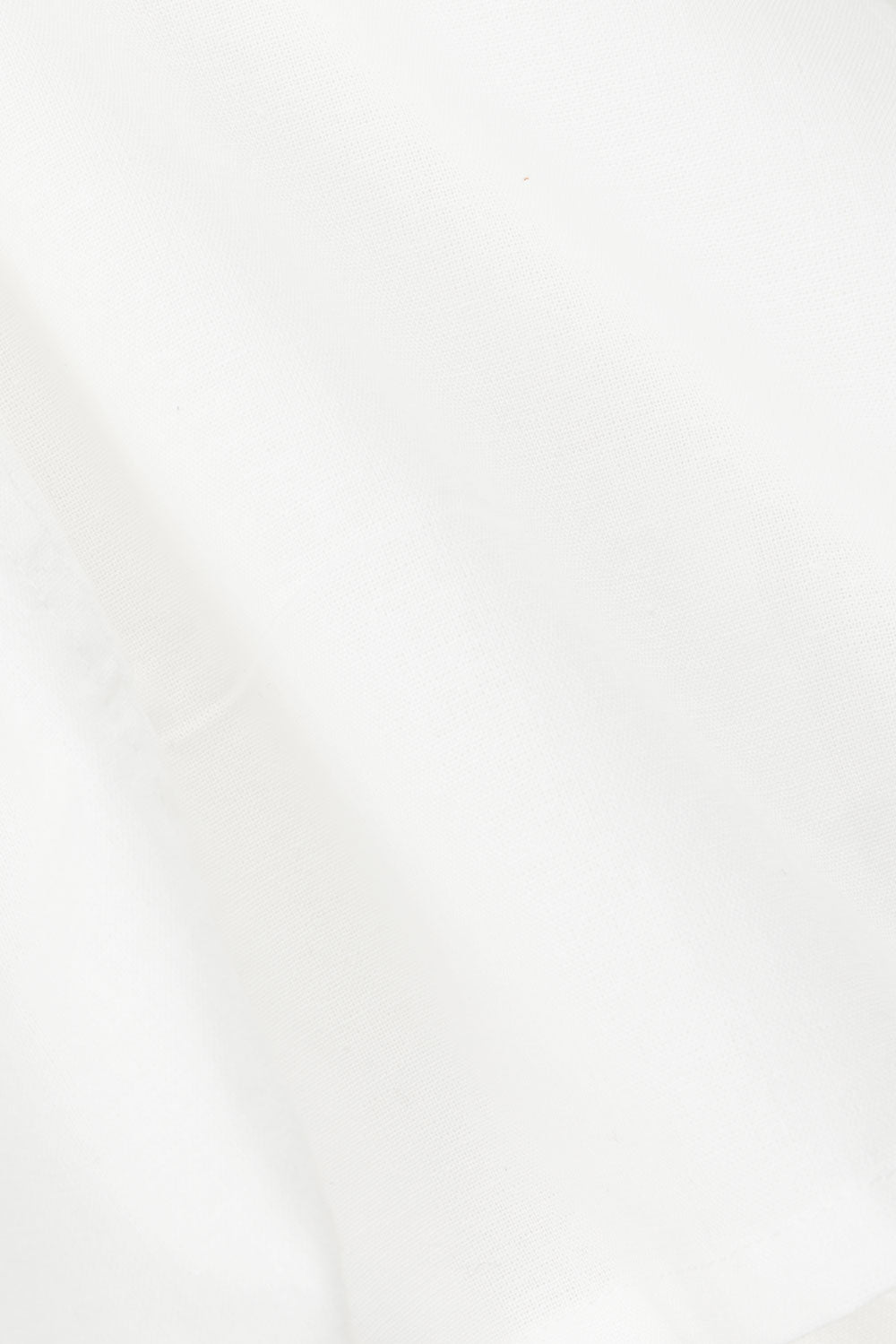 true-to-color:#ffffff