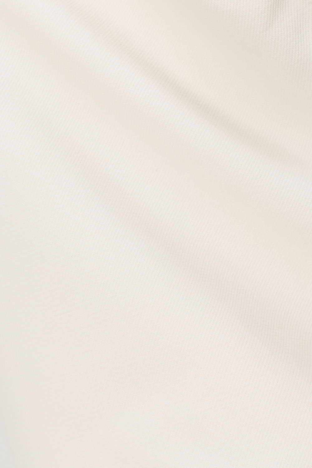 true-to-color:#ffffff