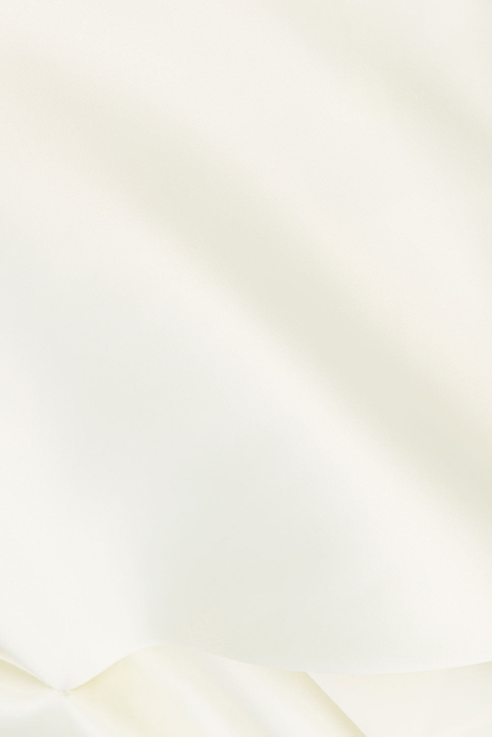 true-to-color:#ffffff