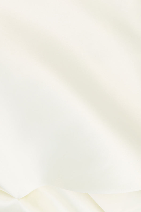 true-to-color:#ffffff