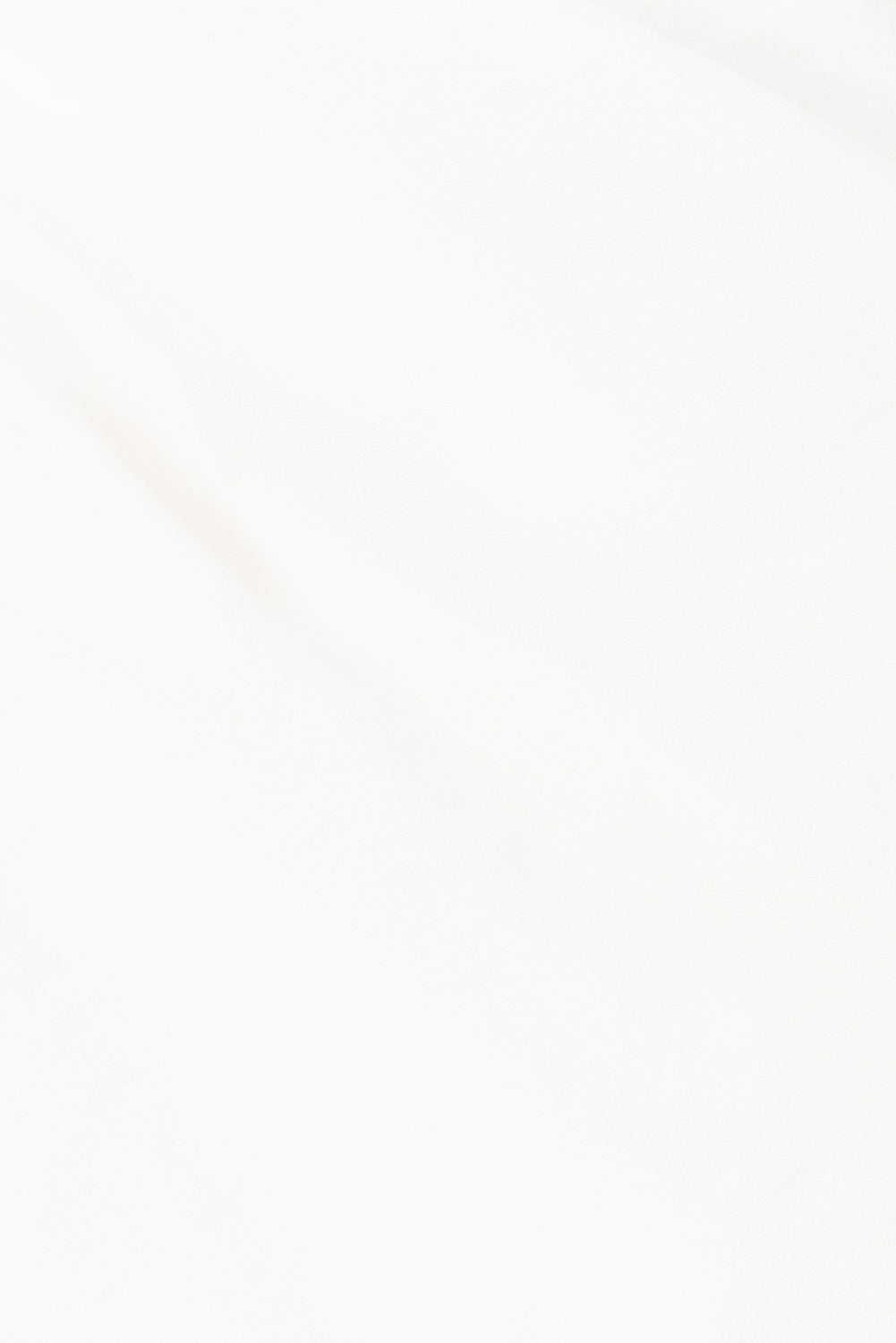 true-to-color:#ffffff