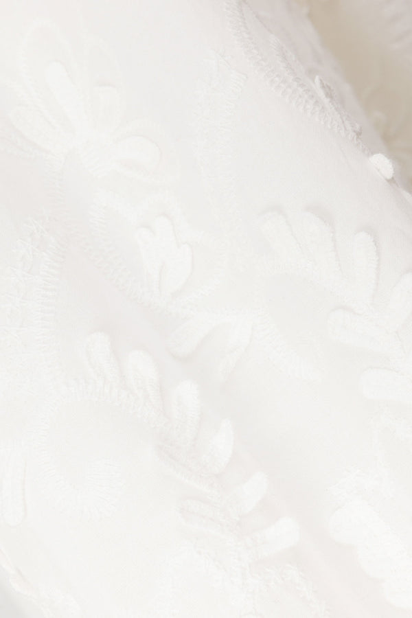 true-to-color:#ffffff