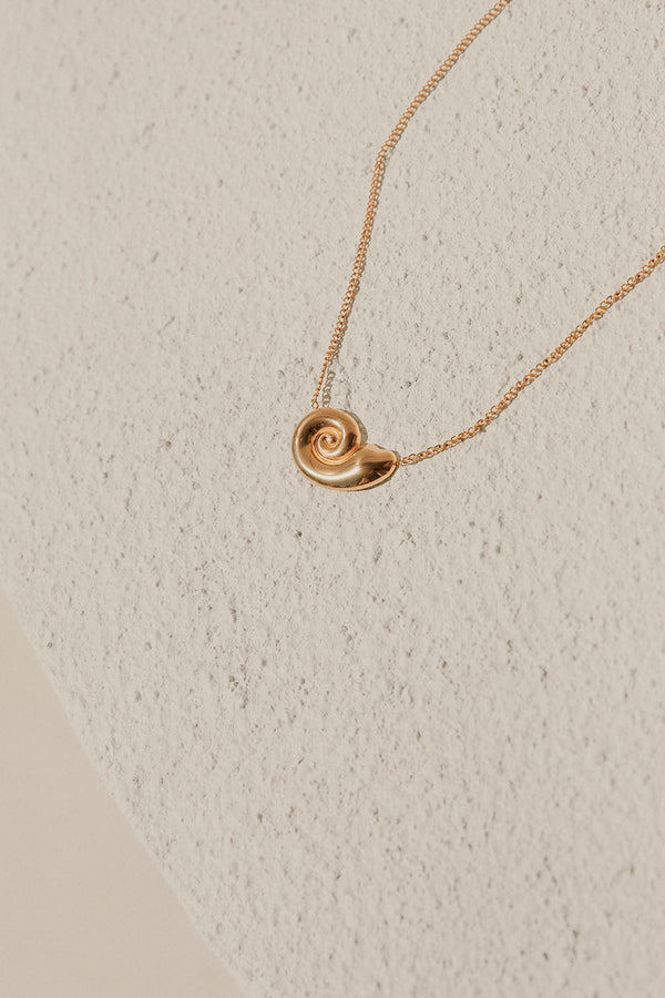 Twirl Shell Necklace