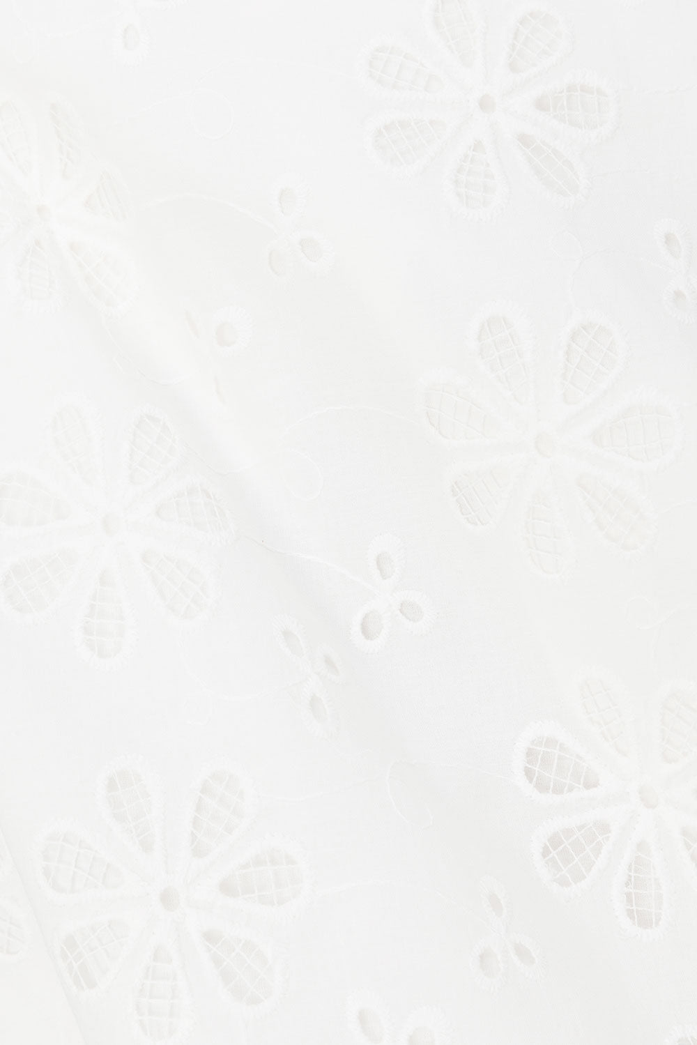 true-to-color:#ffffff