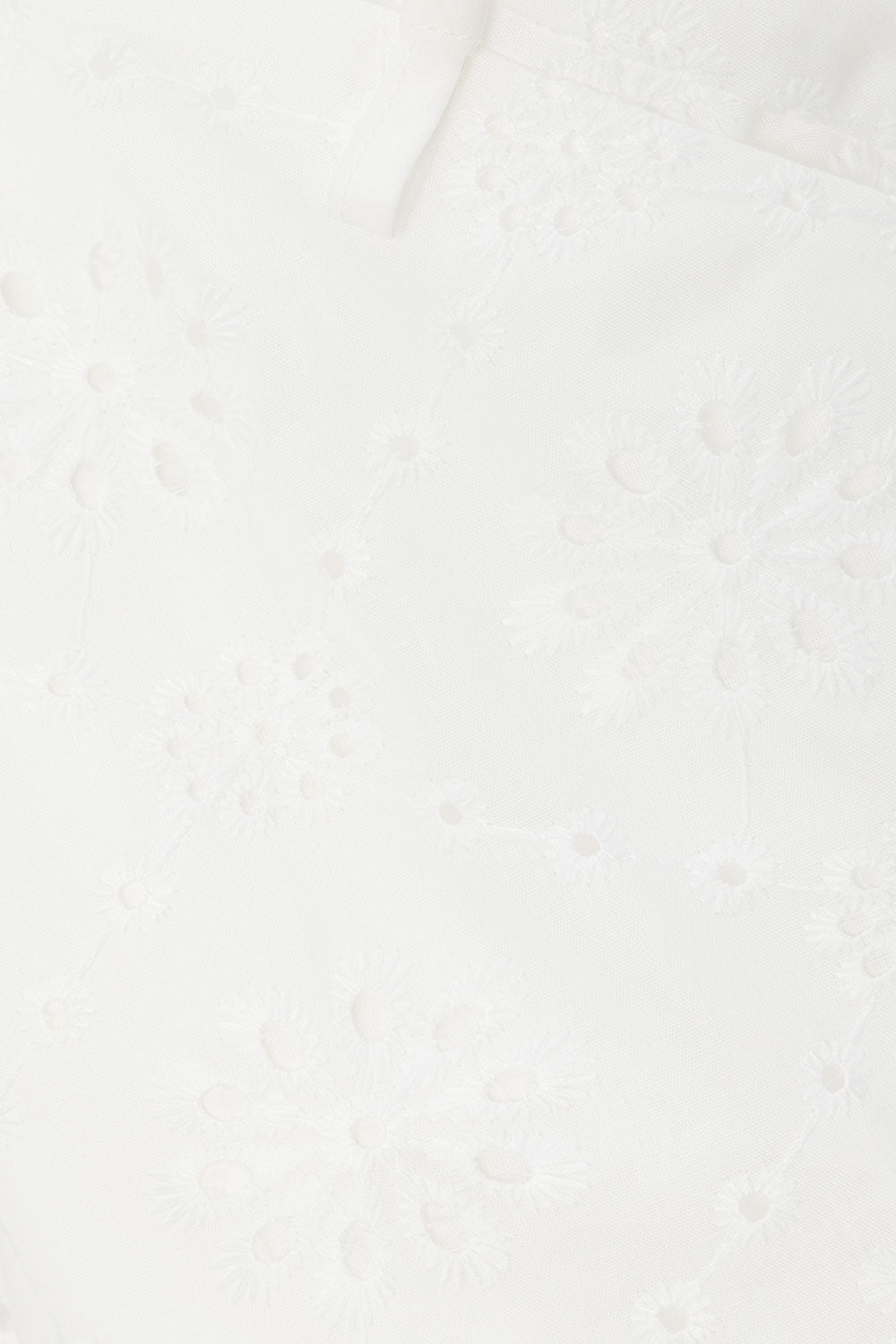 true-to-color:#ffffff