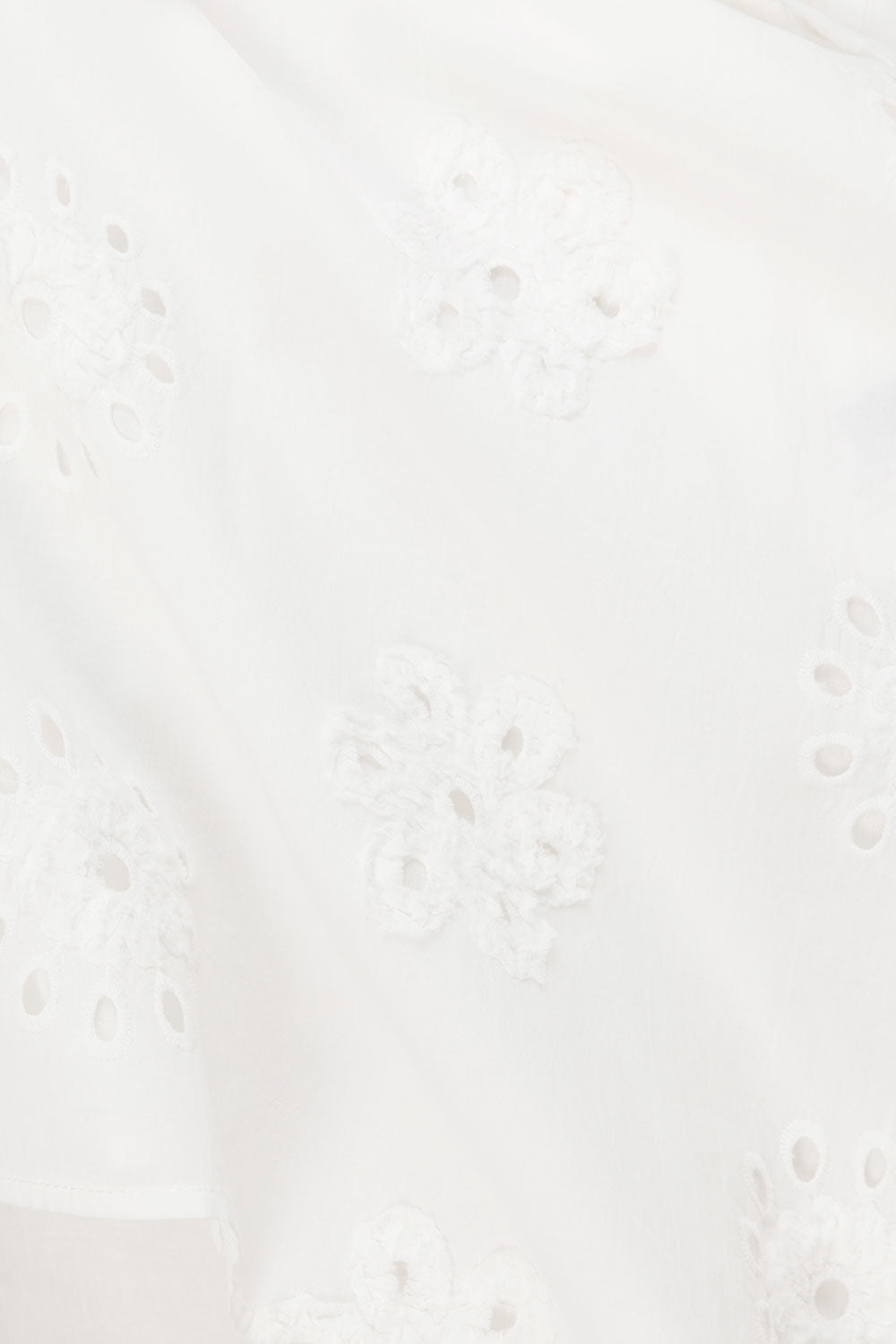 true-to-color:#ffffff